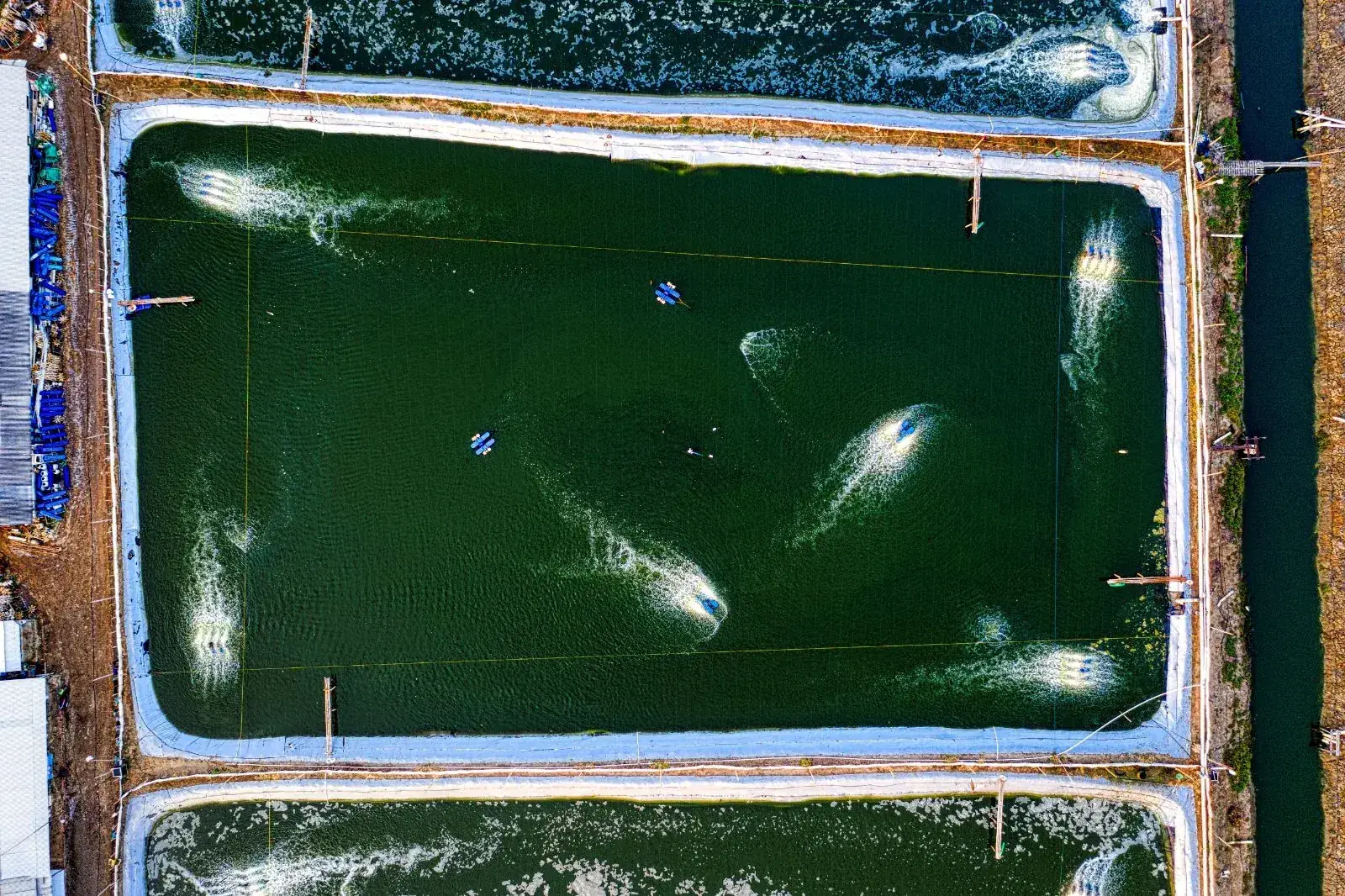 Vista aérea de piscinas acuícolas con aireadores en funcionamiento